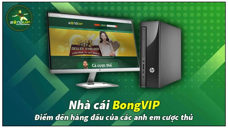 BongVIP điểm đến hàng đầu của các anh em cược thủ BongVIP điểm đến hàng đầu của các anh em cược thủ