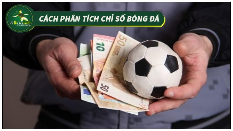 Cách phân tích chỉ số bóng đá Cách phân tích chỉ số bóng đá