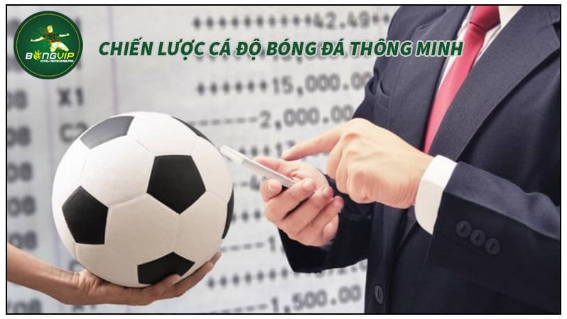 Chiến lược cá độ bóng đá thông minh Chiến lược cá độ bóng đá thông minh
