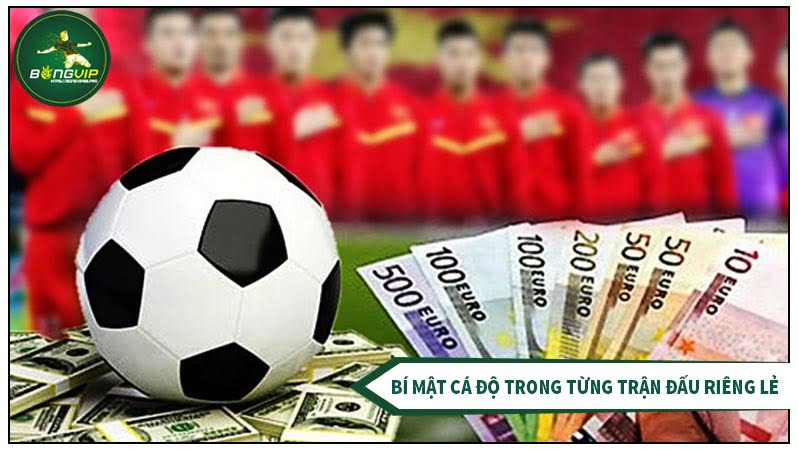Bí mật cá độ trong từng trận đấu riêng lẻ Bí mật cá độ trong từng trận đấu riêng lẻ