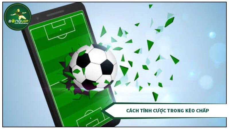 Cách Tính Cược Trong kèo Chấp Cách Tính Cược Trong kèo Chấp
