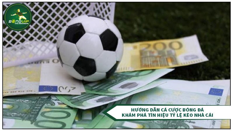 Khám phá tín hiệu tỷ lệ kèo nhà cái Khám phá tín hiệu tỷ lệ kèo nhà cái