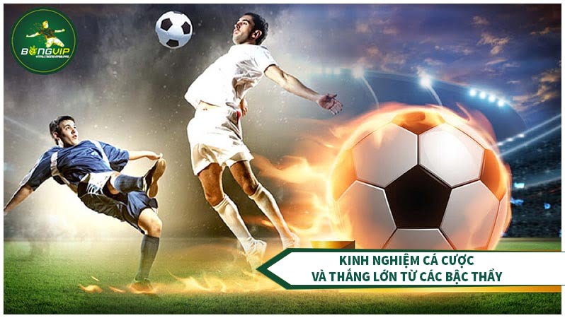 Cách nhận biết và trải nghiệm cá cược kèo thơm bóng đá 2 Kinh nghiệm cá cược và thắng lớn từ các bậc thầy