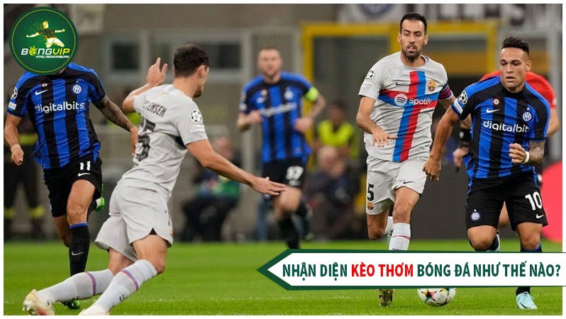 Nhận diện kèo thơm bóng đá Nhận diện kèo thơm bóng đá