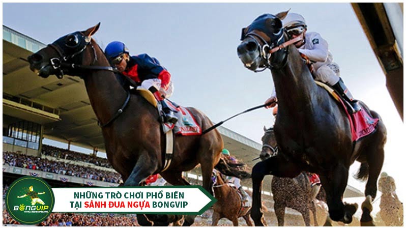 Sảnh đua ngựa BongVIP đẩy đủ các trò chơi phổ biến Sảnh đua ngựa BongVIP đẩy đủ các trò chơi phổ biến