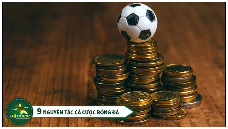 9 Nguyên tắc khi chơi cá cược bóng đá 9 Nguyên tắc khi chơi cá cược bóng đá