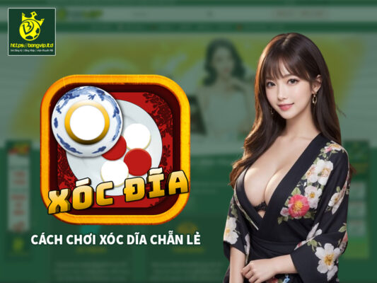 Cách chơi Xóc Dĩa Chẵn Lẻ, tuân theo nguyên tắc chắc chắn thắng lớn Cách chơi Xóc Dĩa Chẵn Lẻ, tuân theo nguyên tắc chắc chắn thắng lớn
